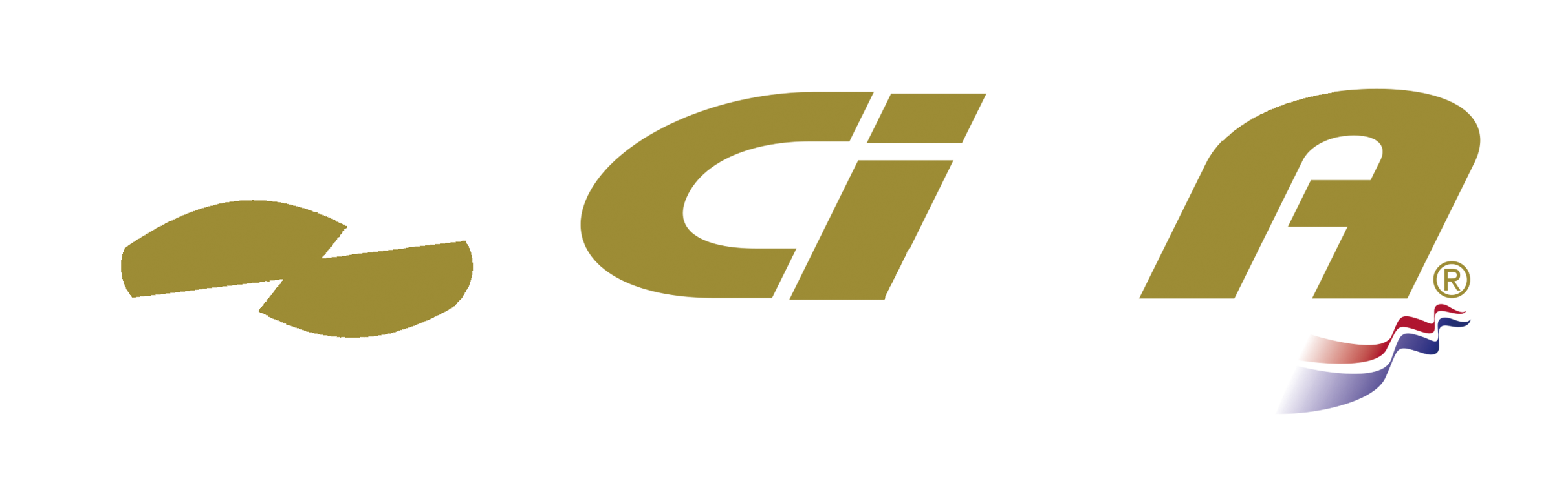 Cisa Dominicana